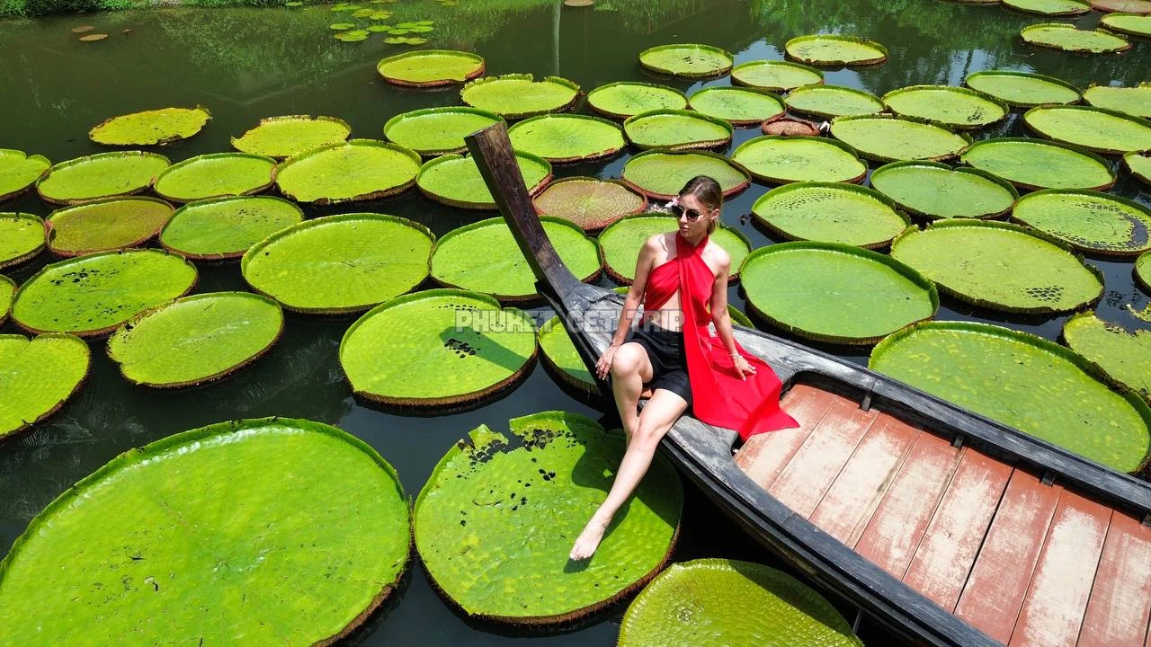 Аватар рассветное приключение